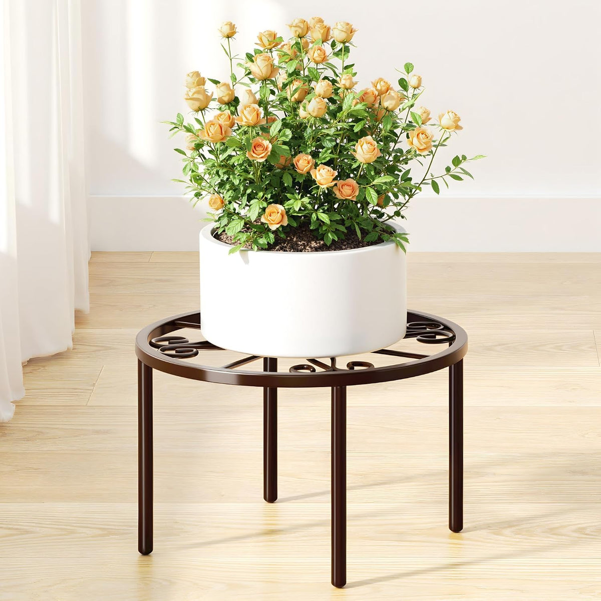 Plant Stand