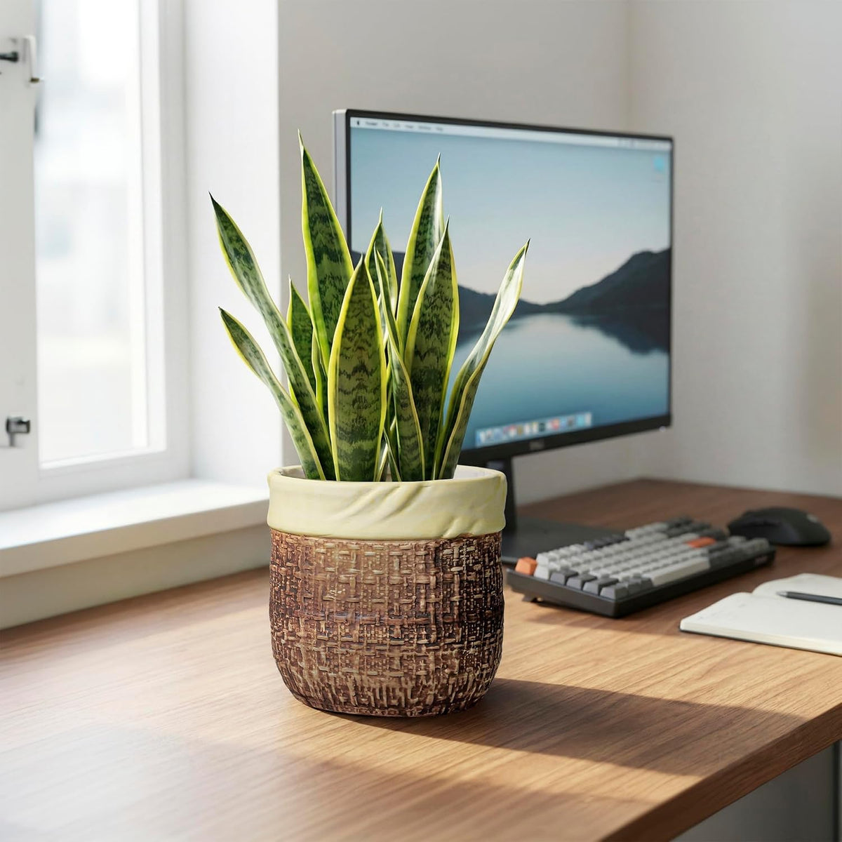Plant Pot