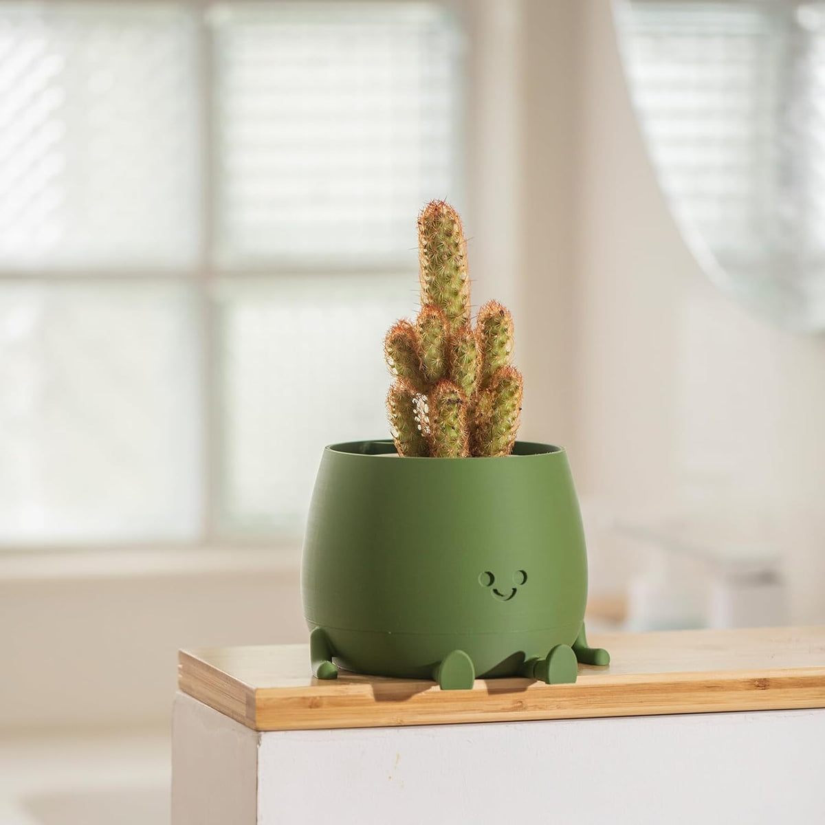 Plant Pot