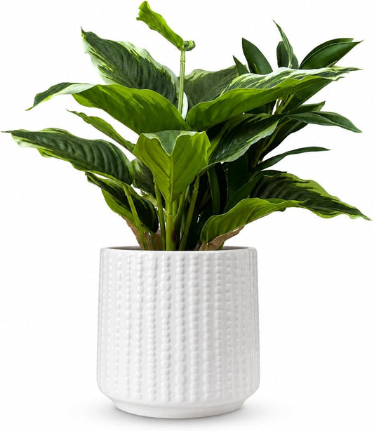 Plant Pot