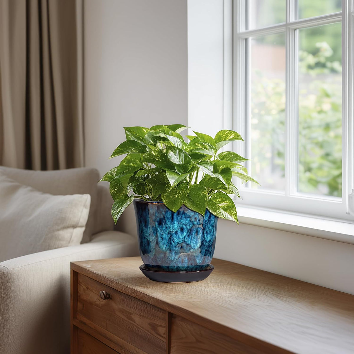 Plant Pot