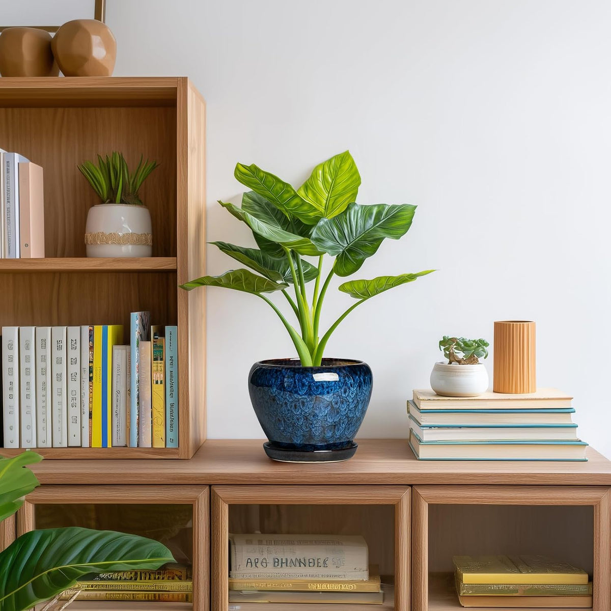 Plant Pot
