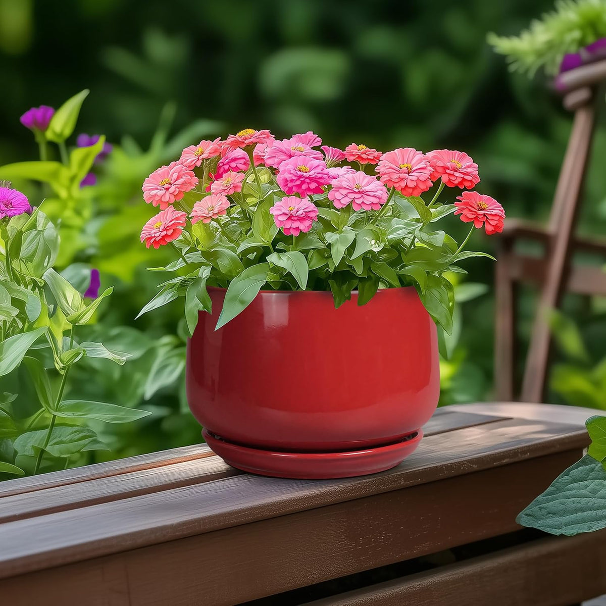 Plant Pot