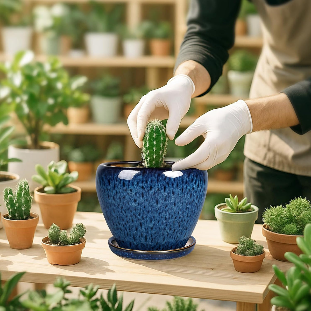Plant Pot