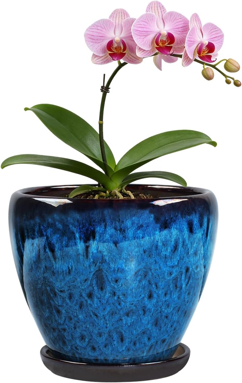 Plant Pot