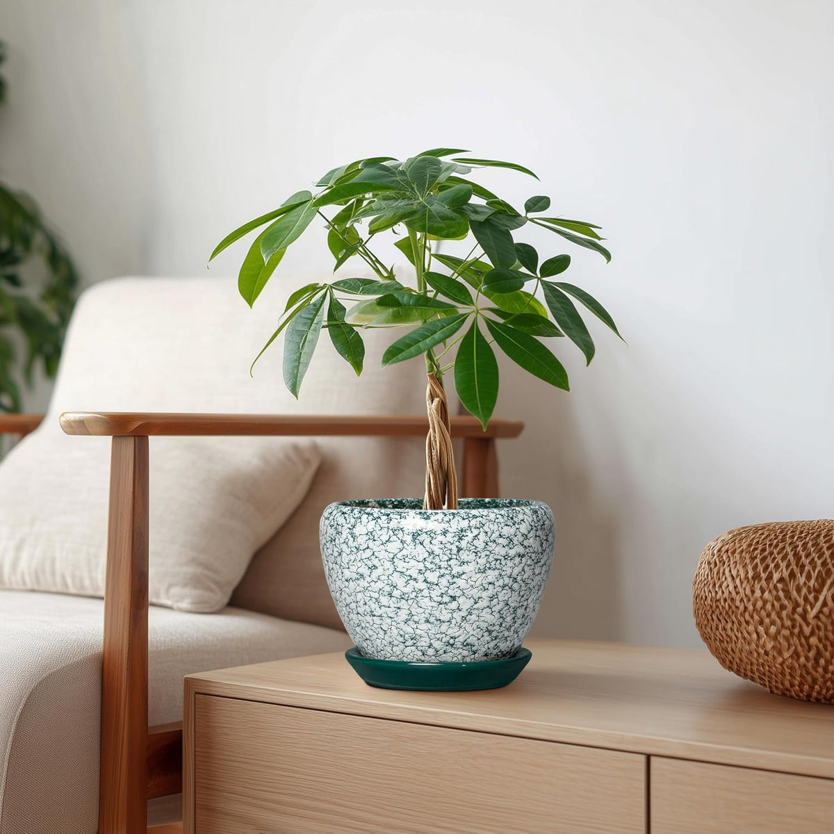 Plant Pot