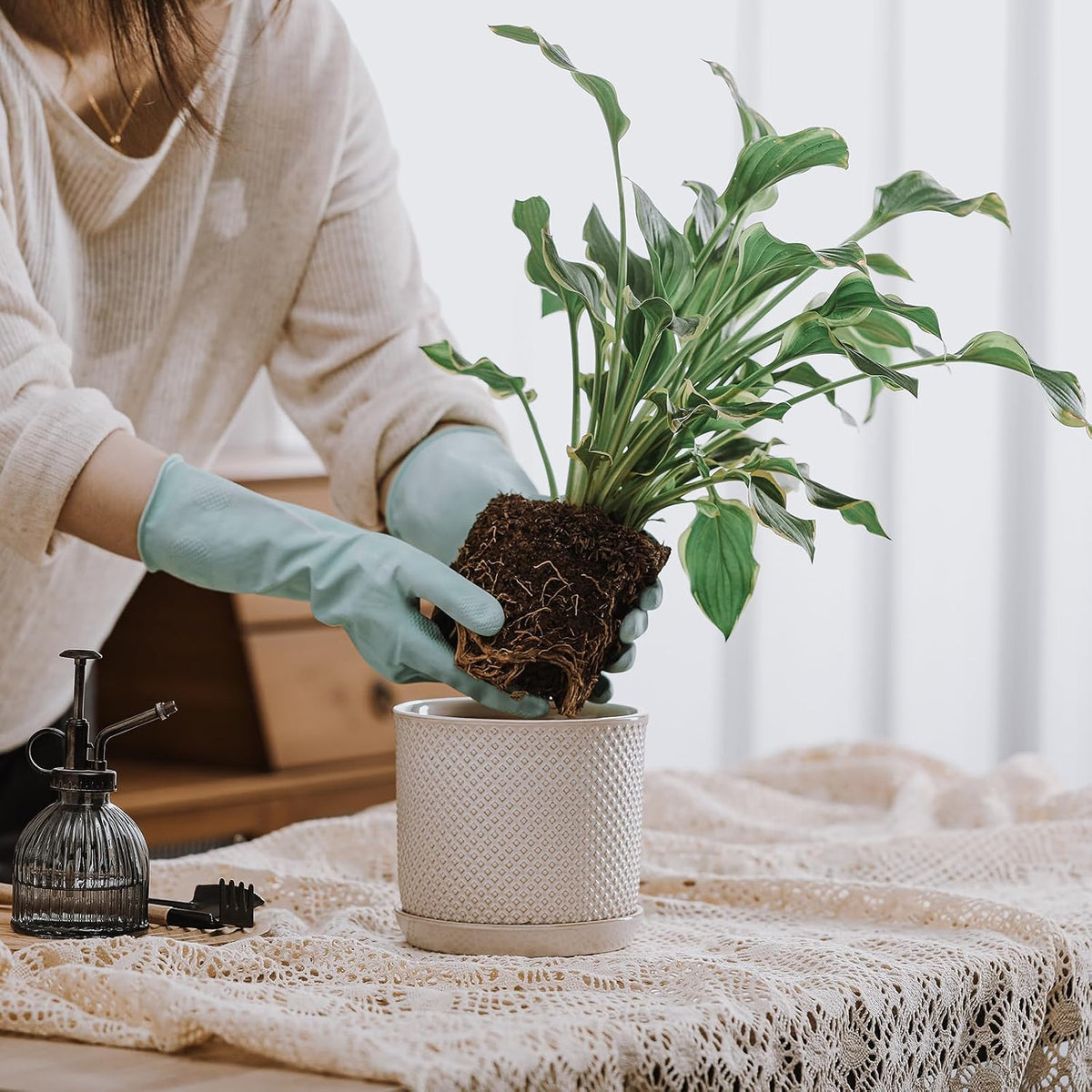 Plant Pot