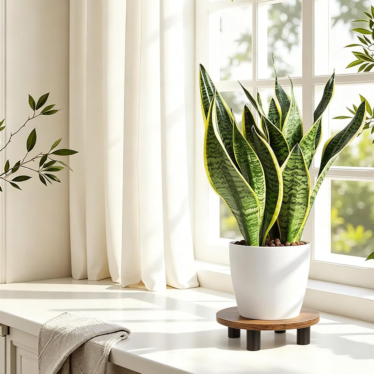 Plant Stand