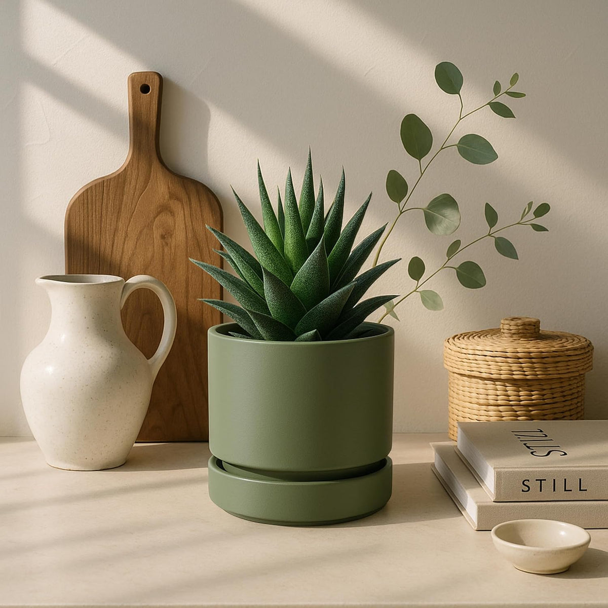 Plant Pot