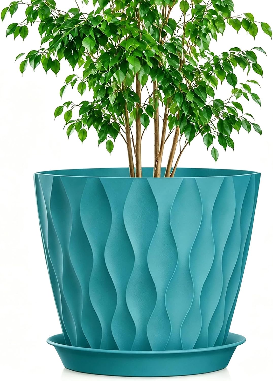 Plant Pot