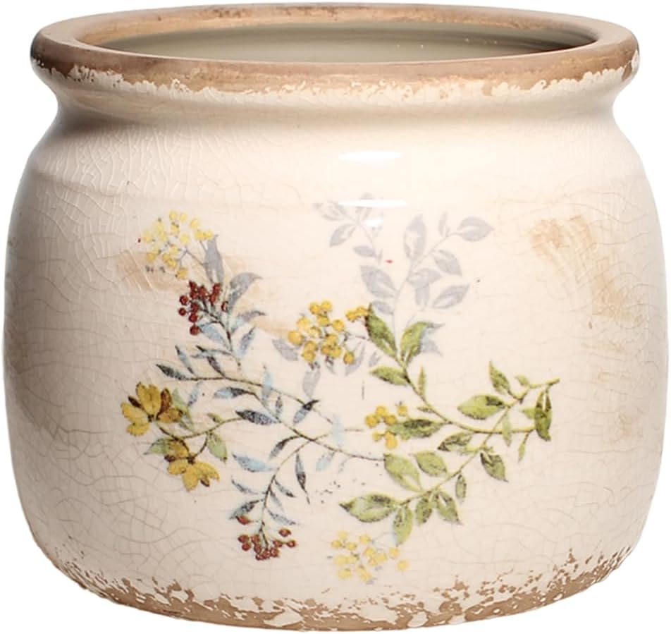 Plant Pot