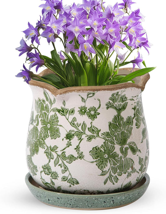 Plant Pot