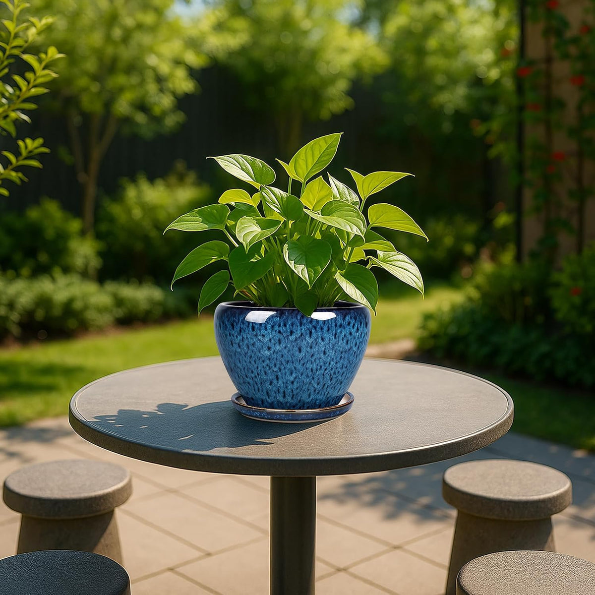 Plant Pot