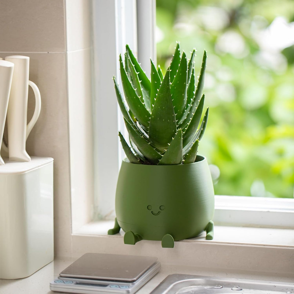 Plant Pot