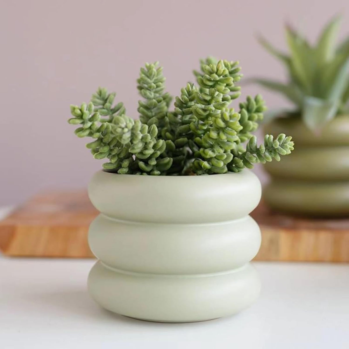 Plant Pot