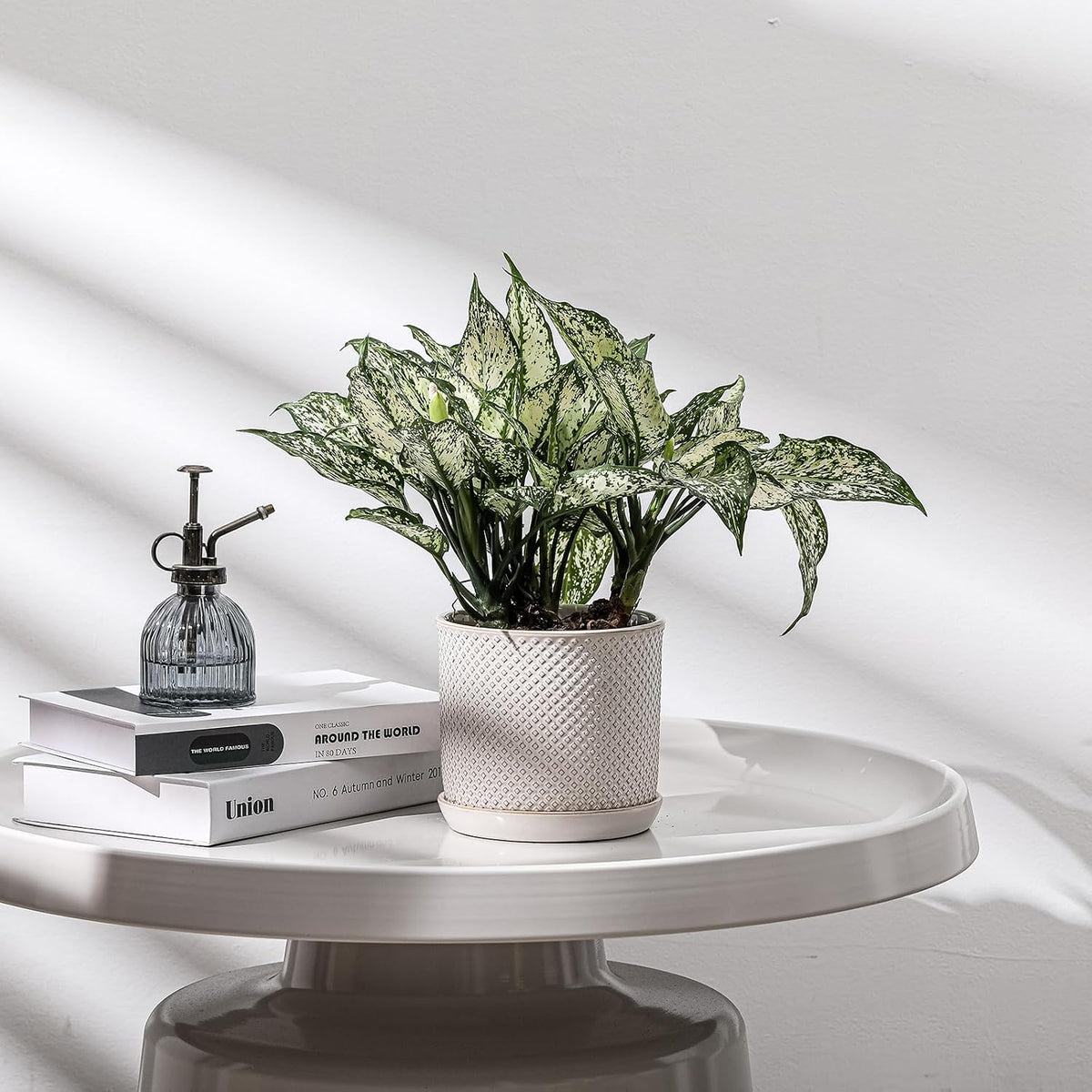 Plant Pot