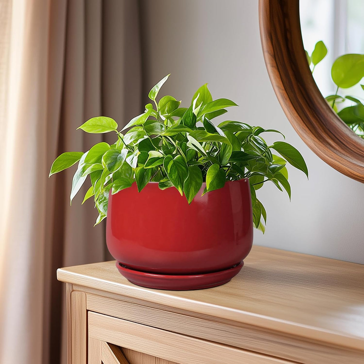 Plant Pot