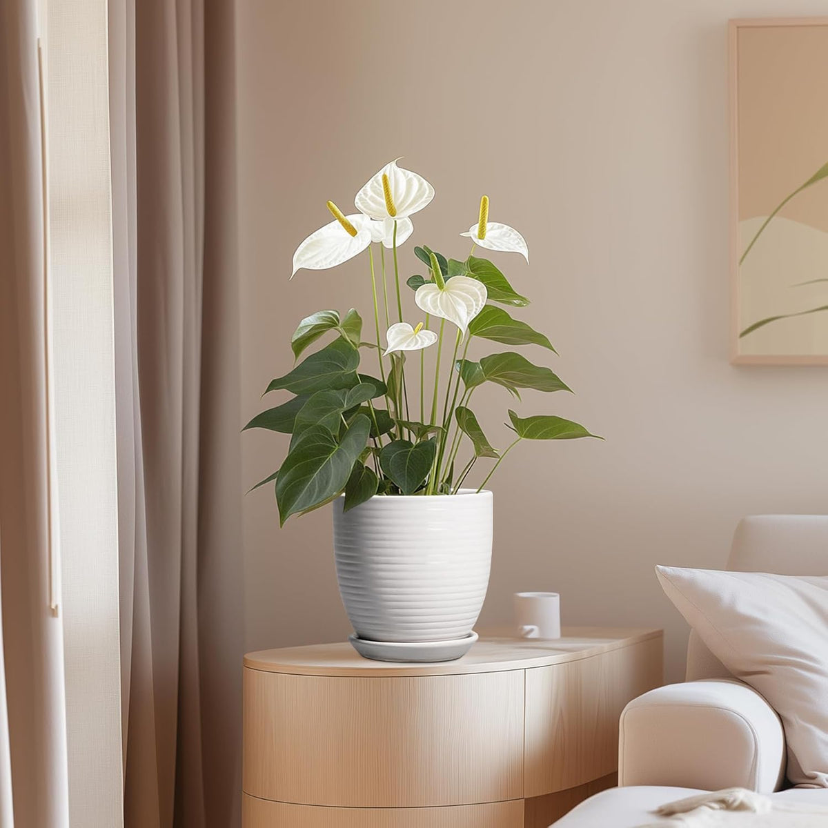 Plant Pot