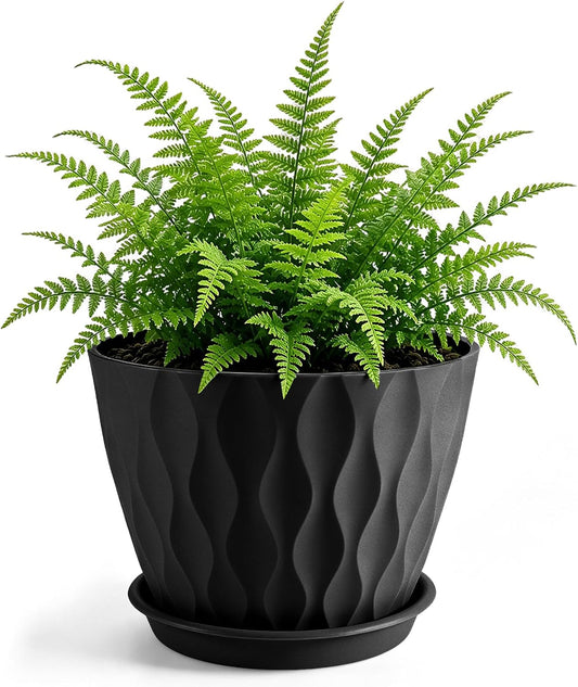 Plant Pot