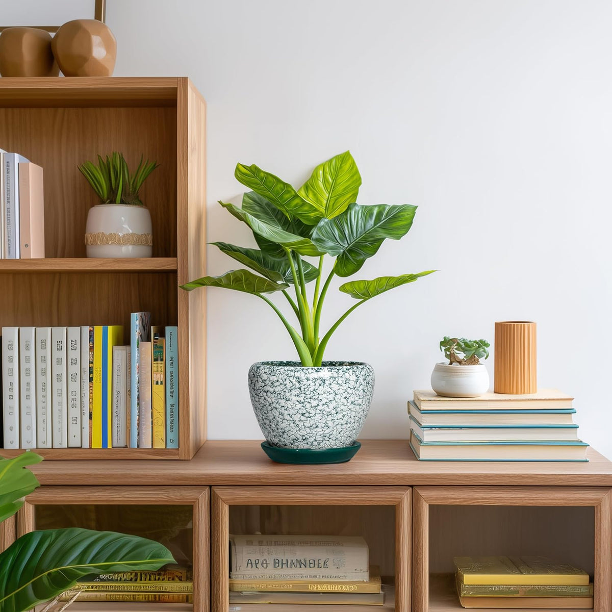 Plant Pot