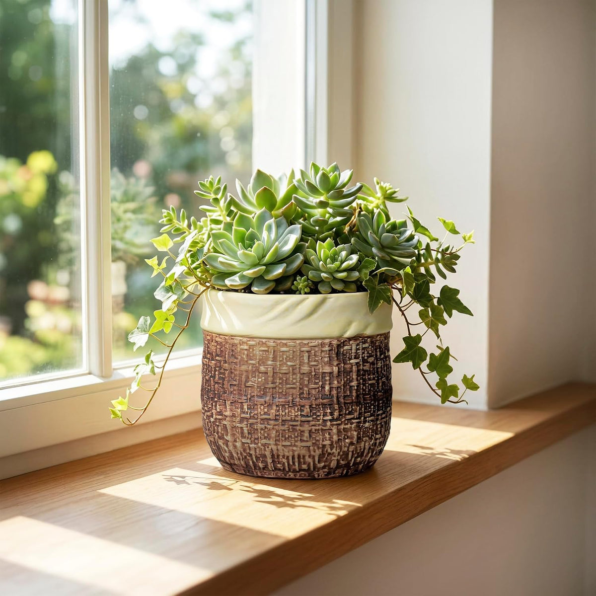 Plant Pot
