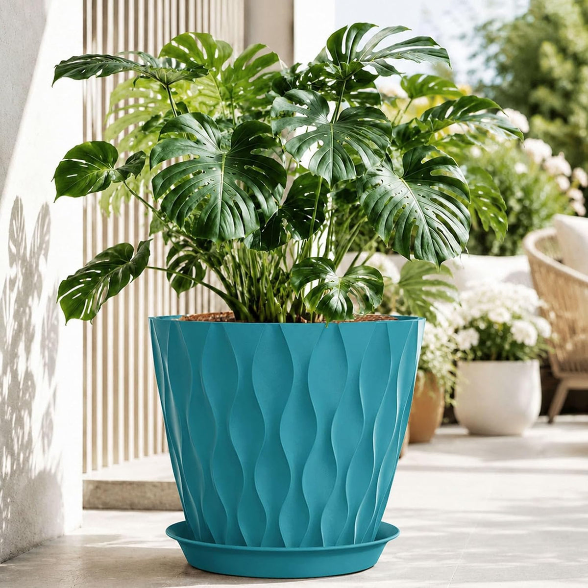 Plant Pot