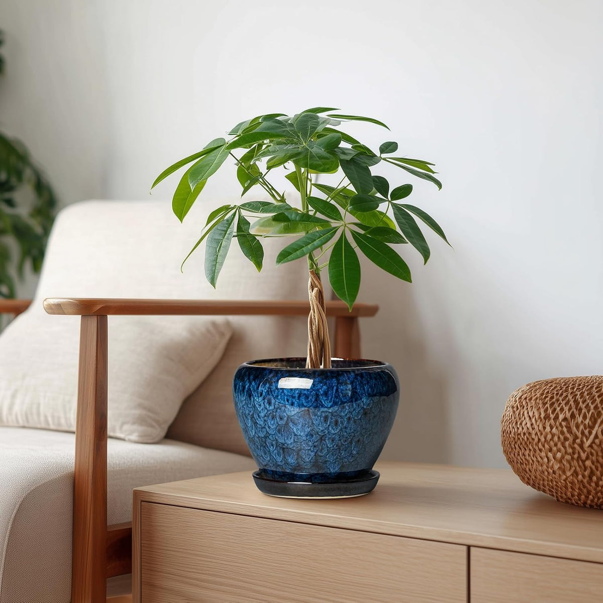 Plant Pot