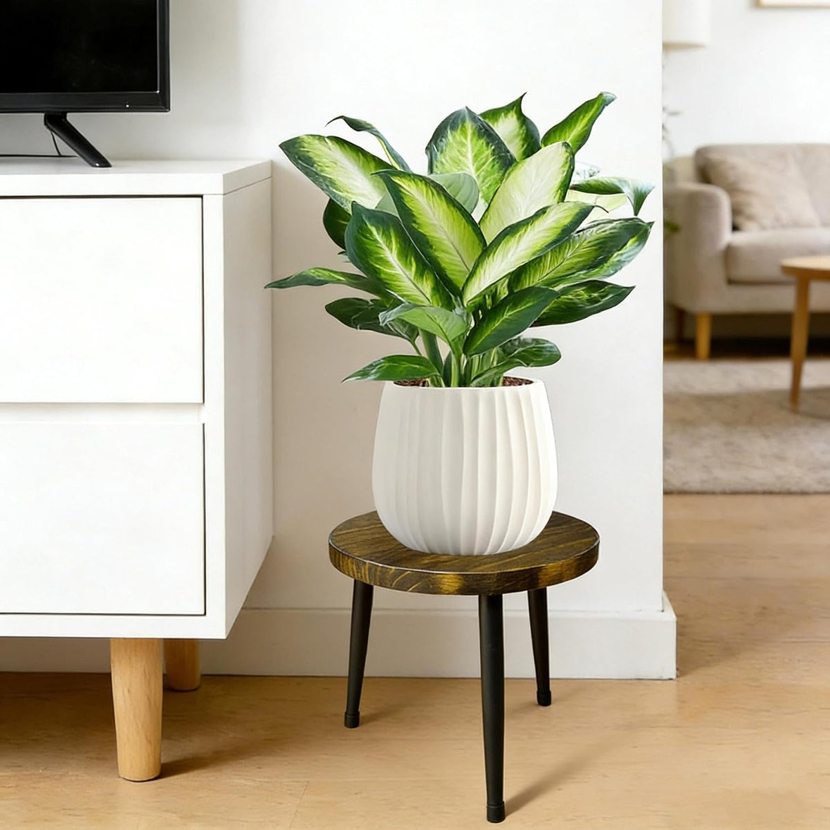 Plant Stand