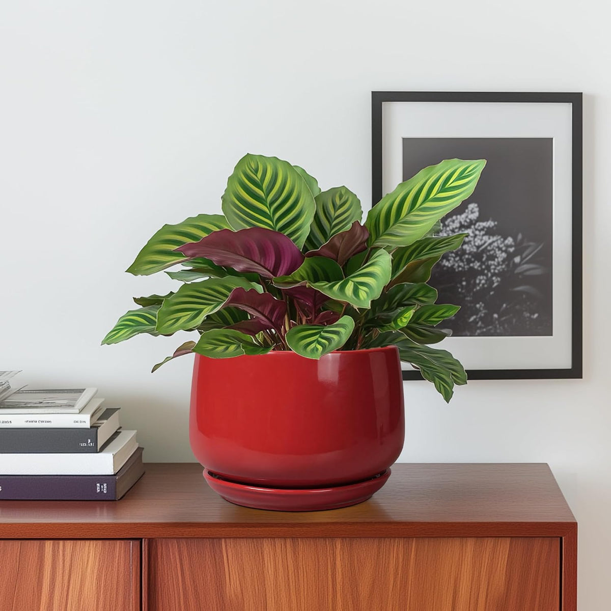 Plant Pot