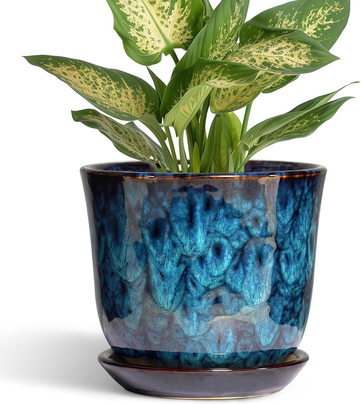 Plant Pot