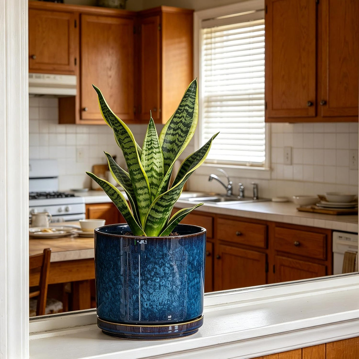 Plant Pot