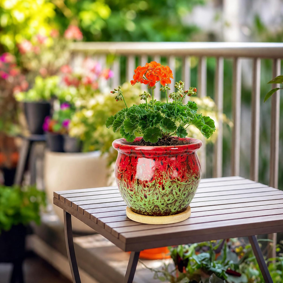Plant Pot