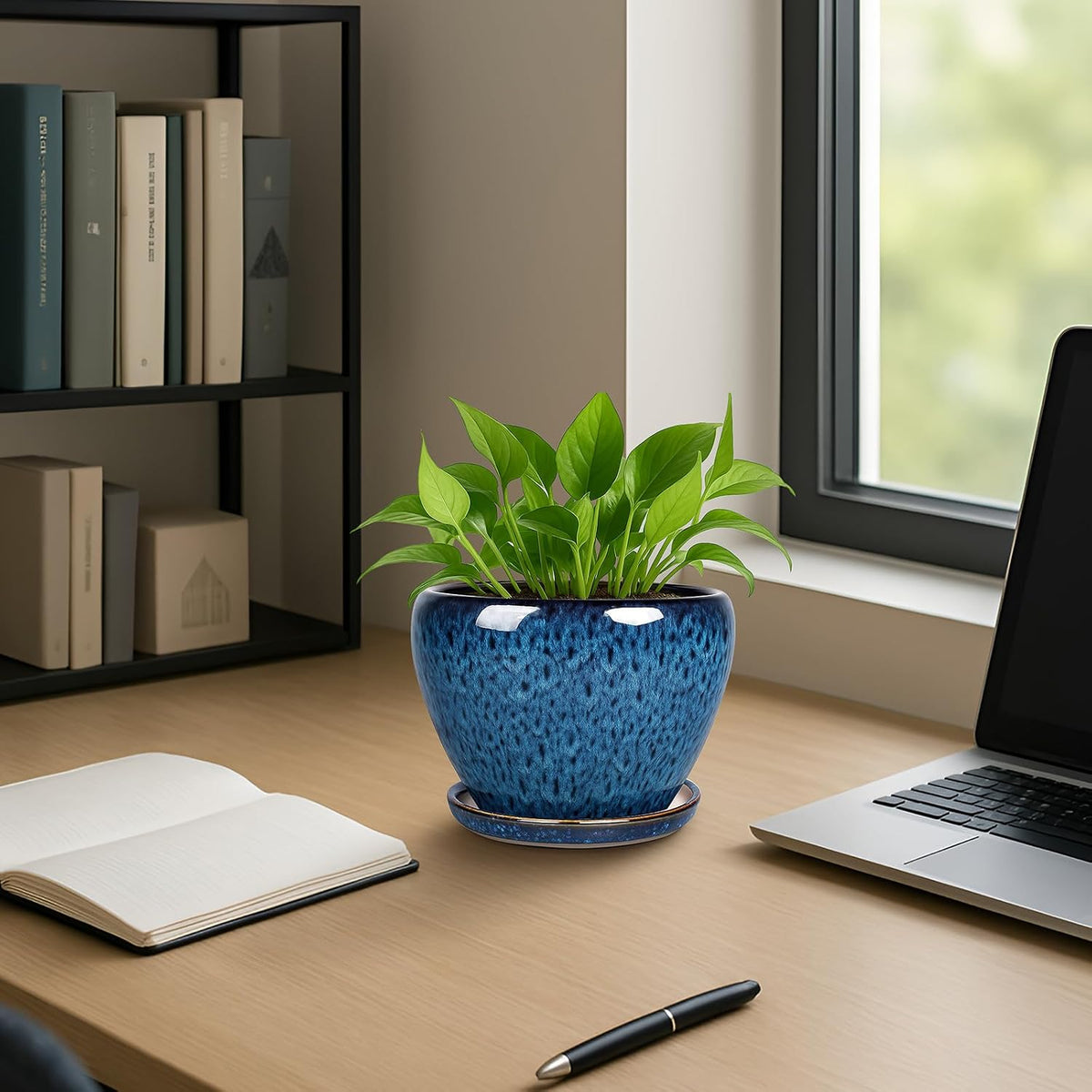 Plant Pot