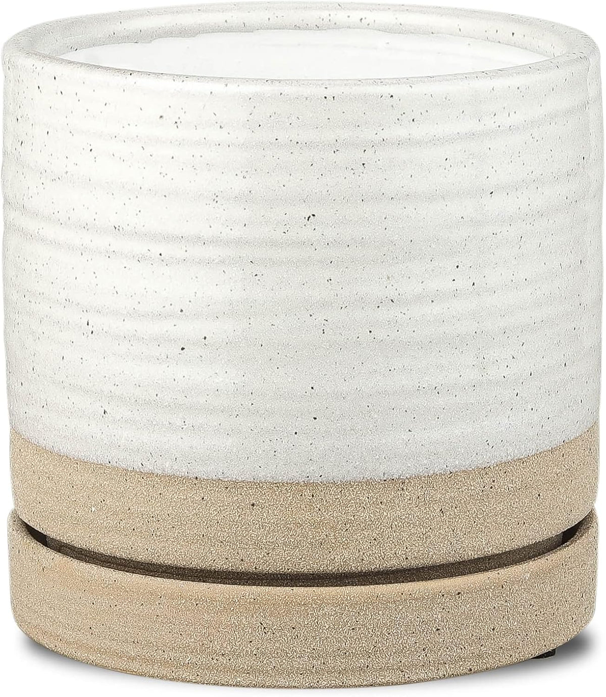 Plant Pot