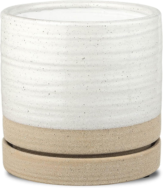 Plant Pot