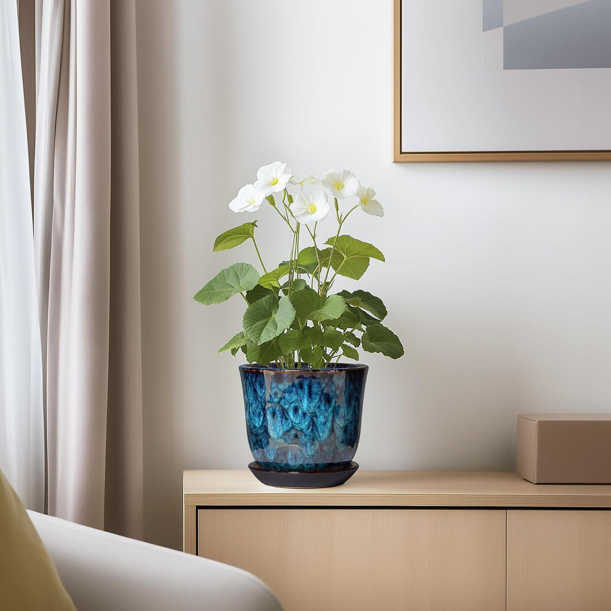 Plant Pot