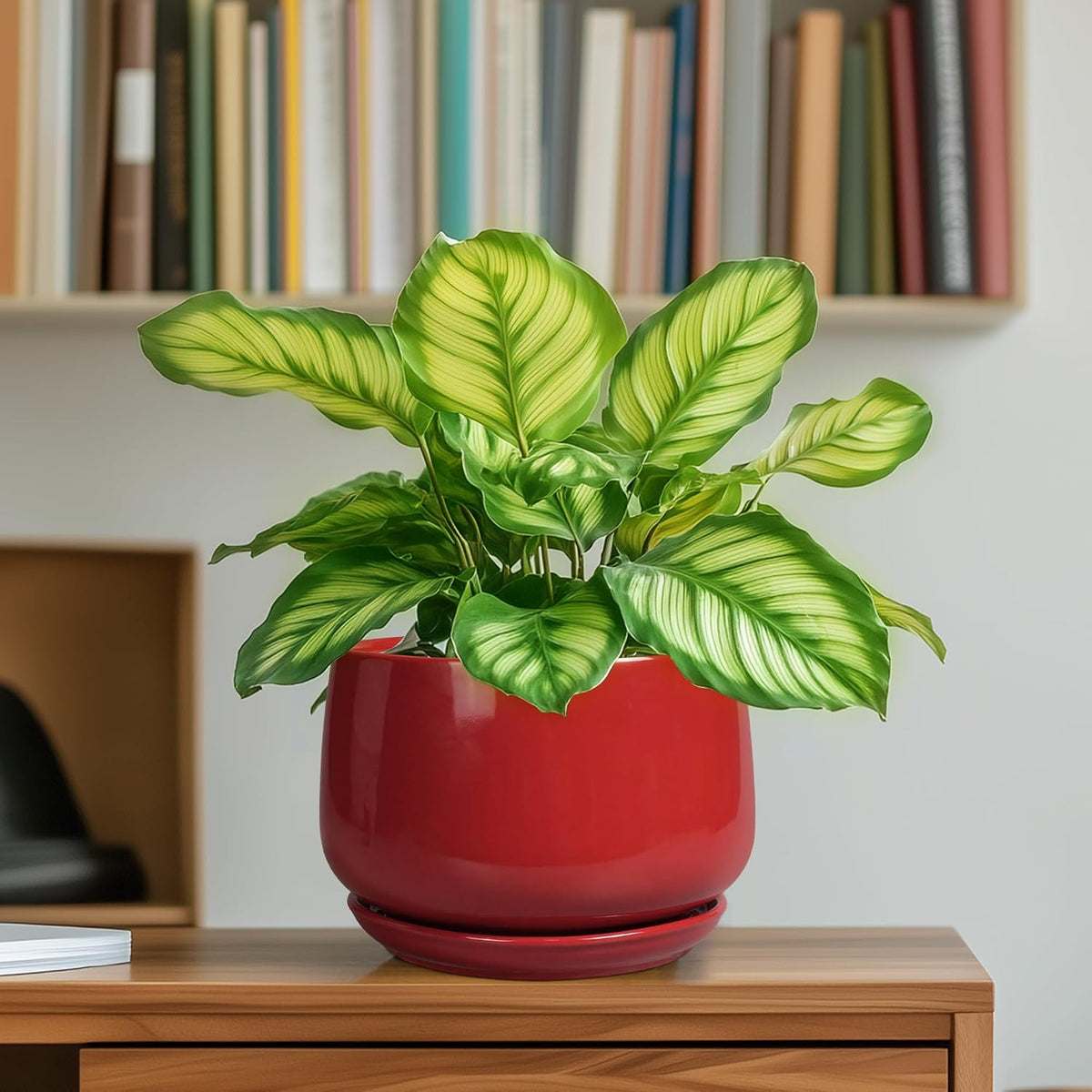 Plant Pot