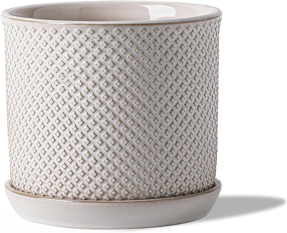 Plant Pot
