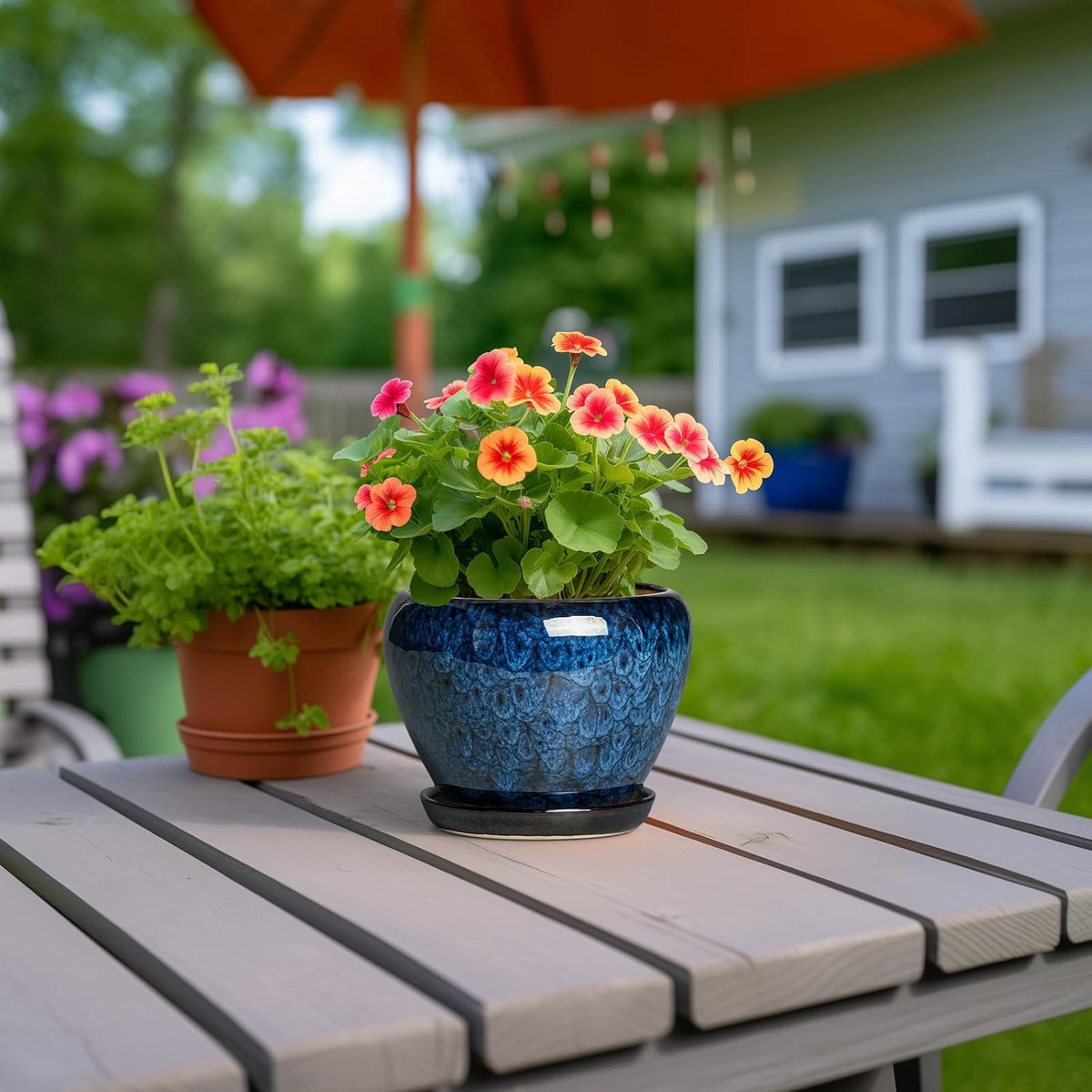 Plant Pot