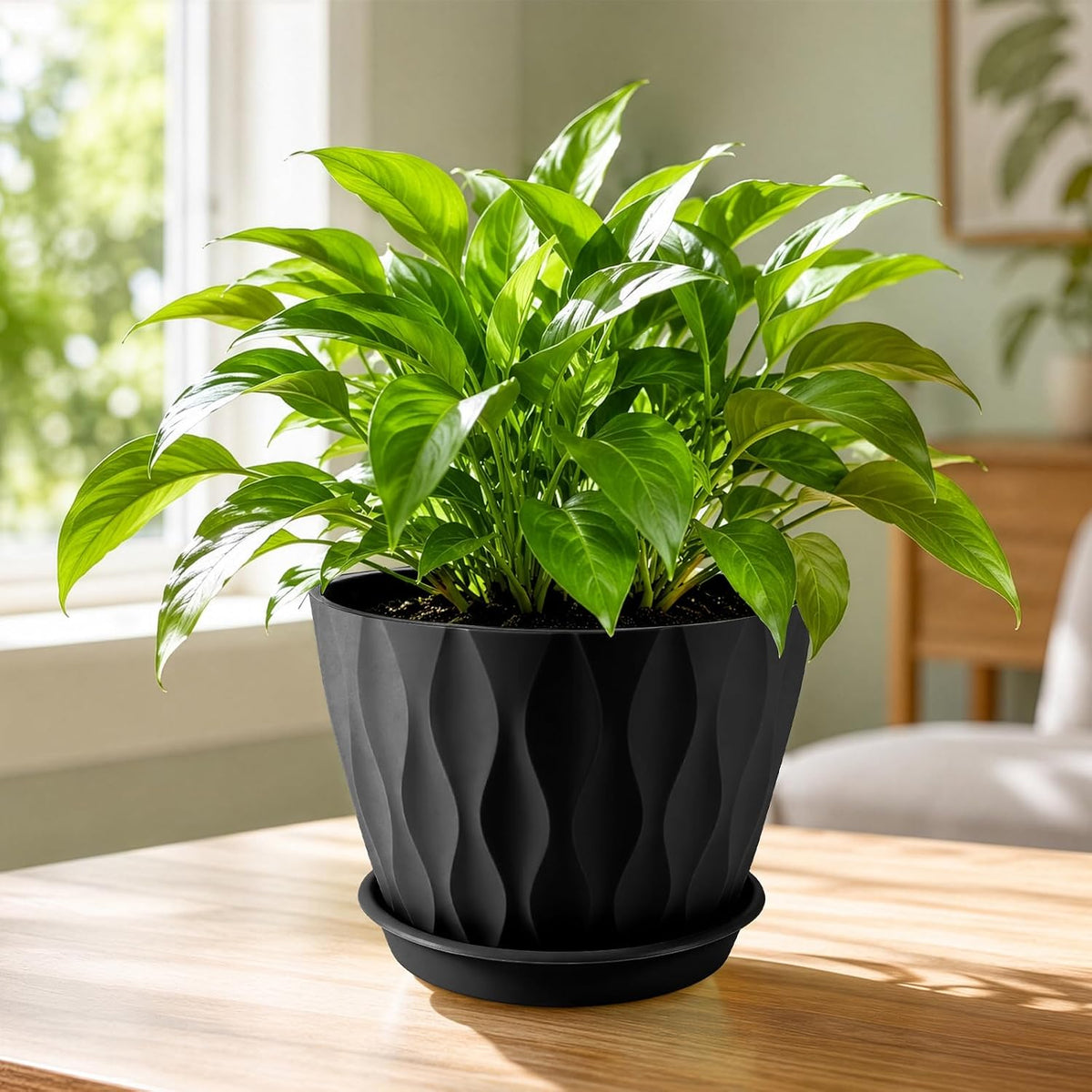 Plant Pot