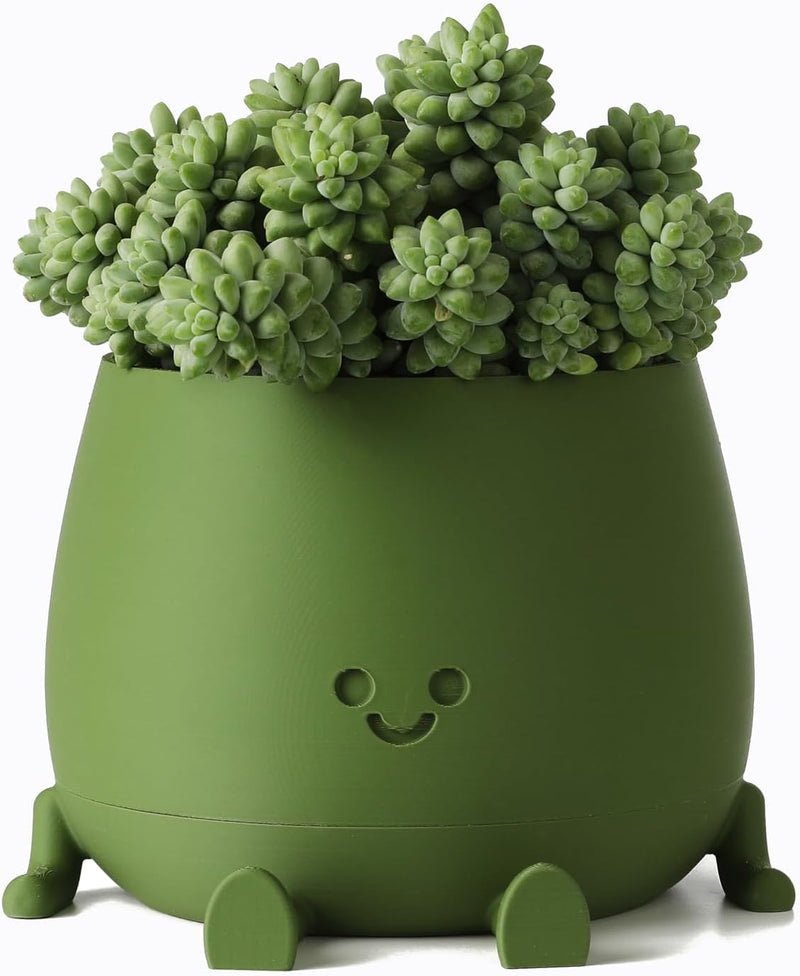 Plant Pot