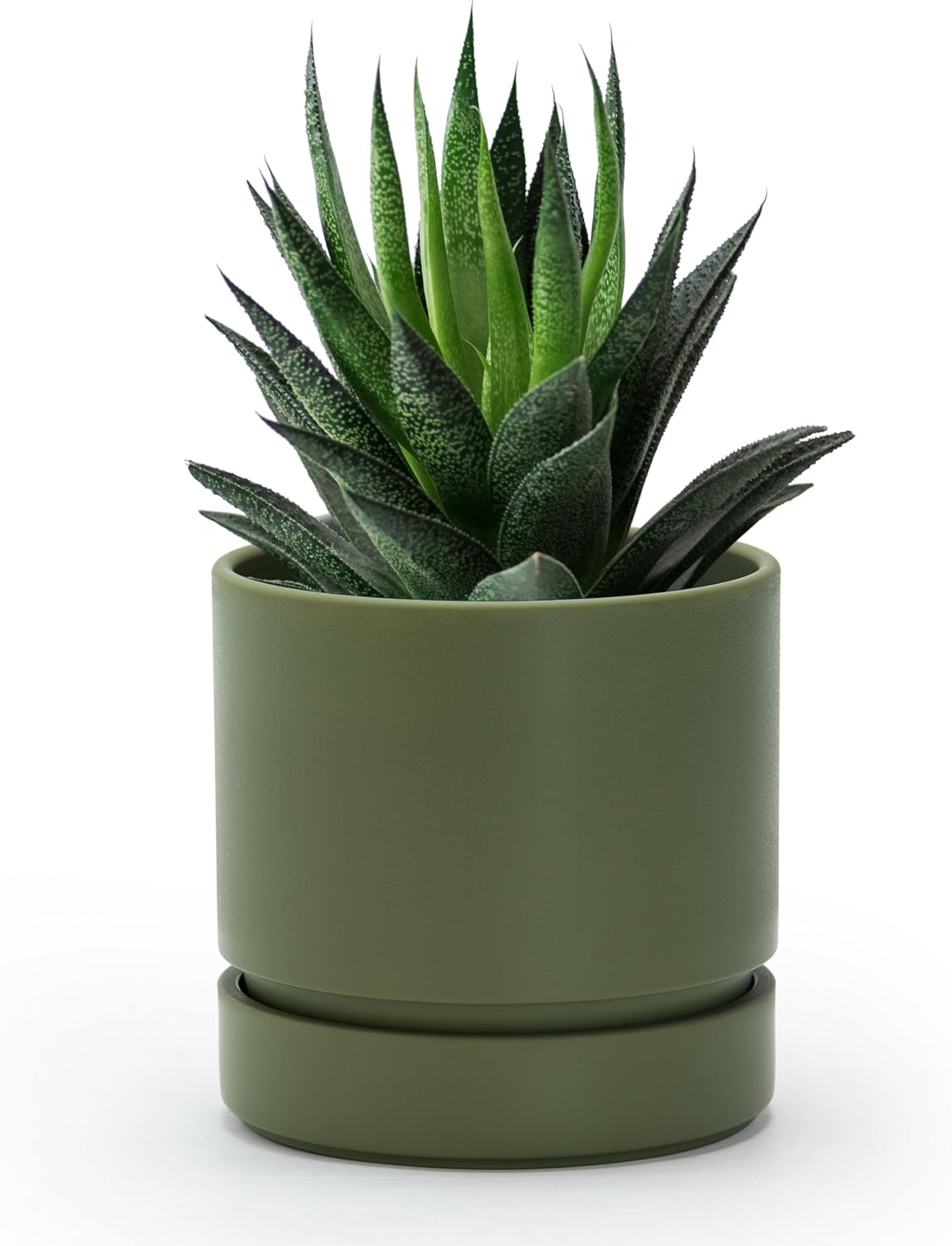 Plant Pot