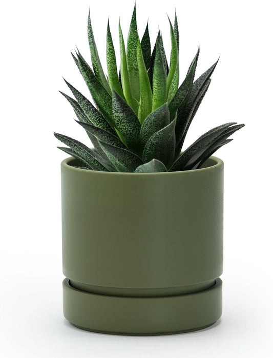 Plant Pot