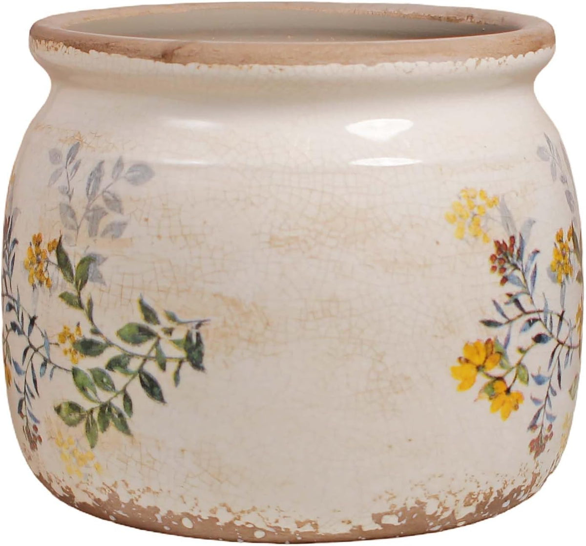 Plant Pot