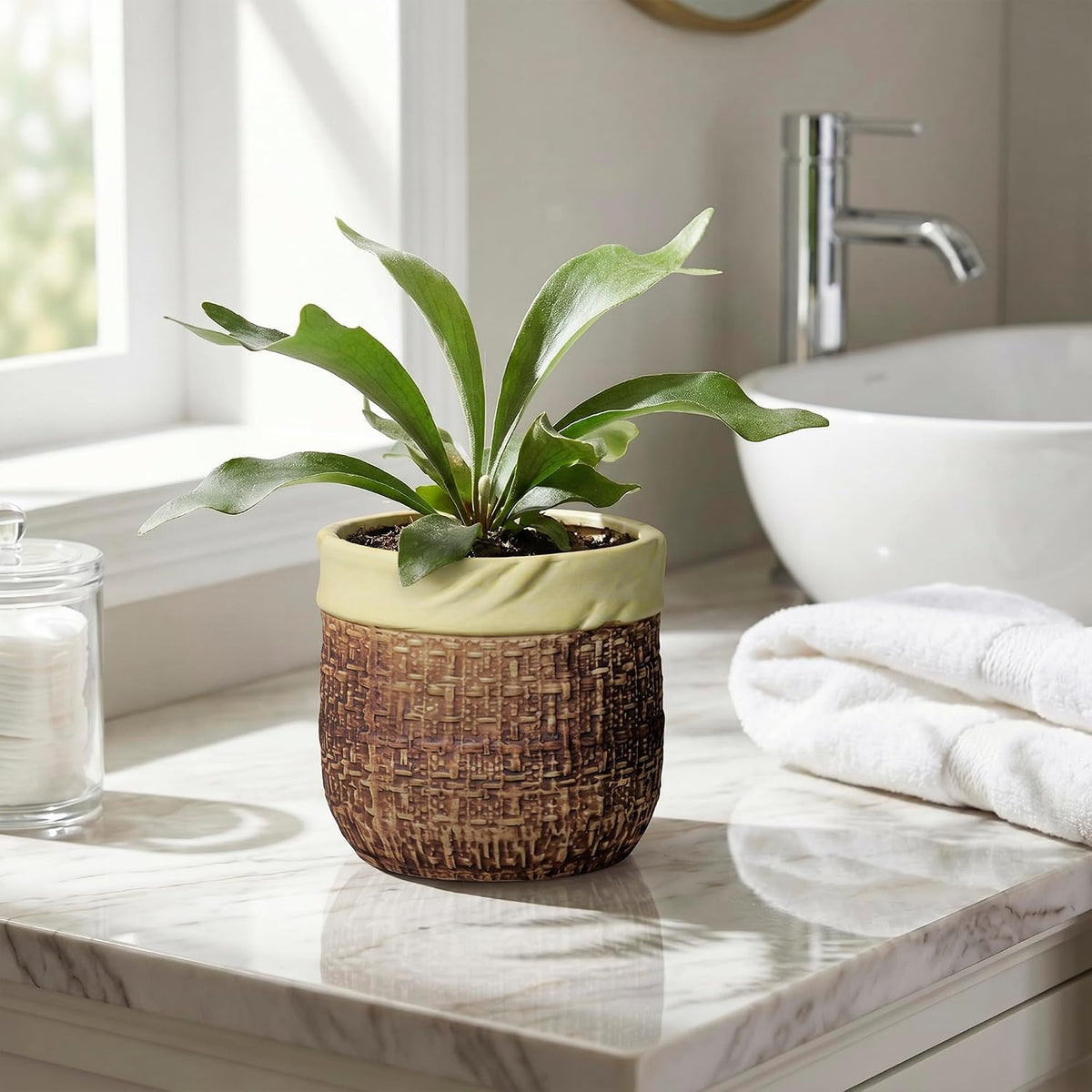 Plant Pot