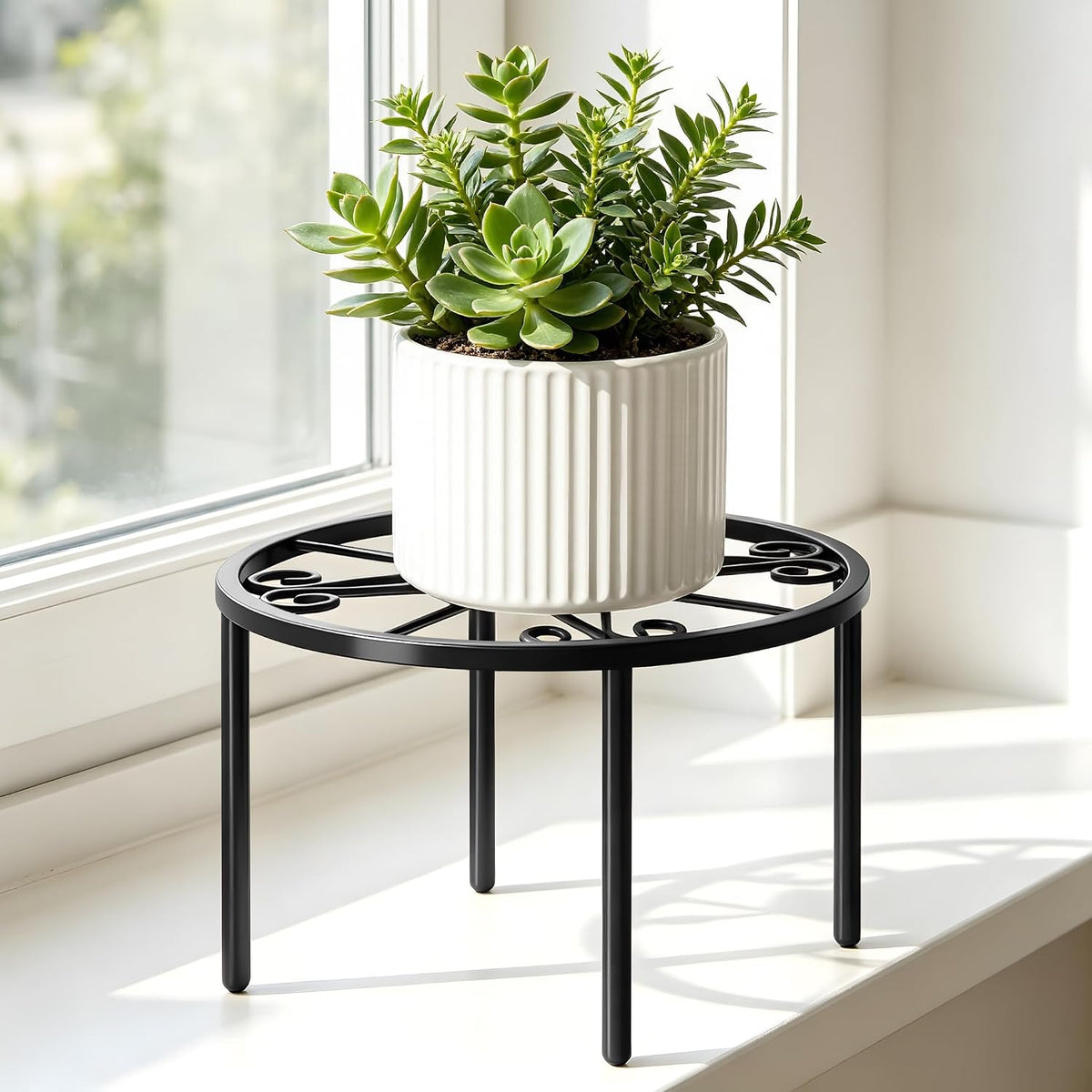 Plant Stand