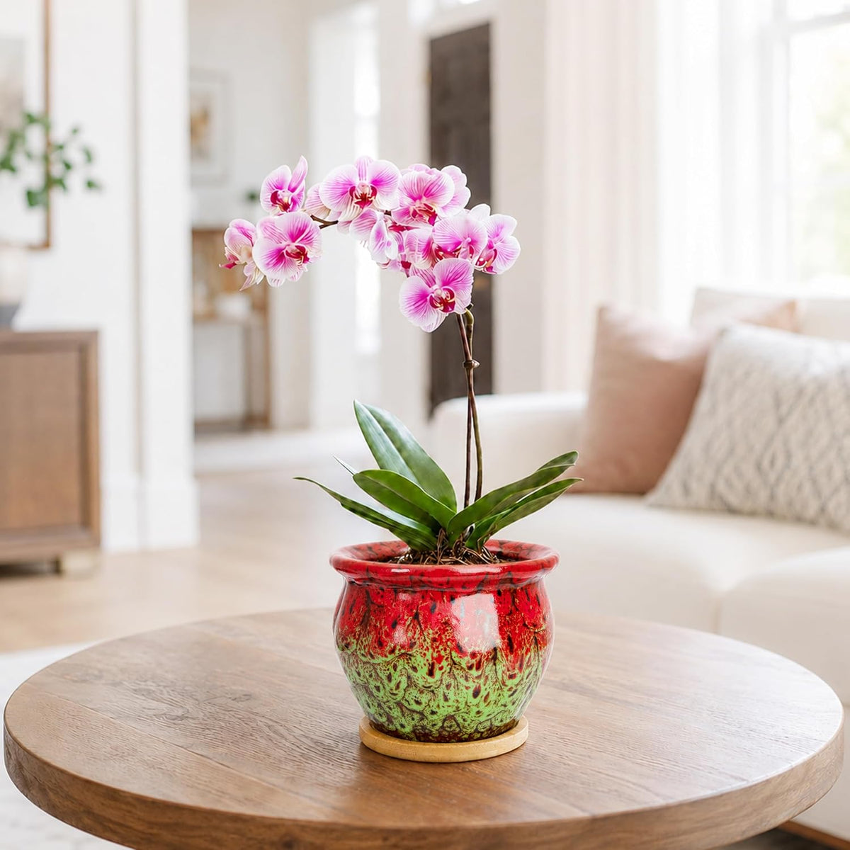 Plant Pot