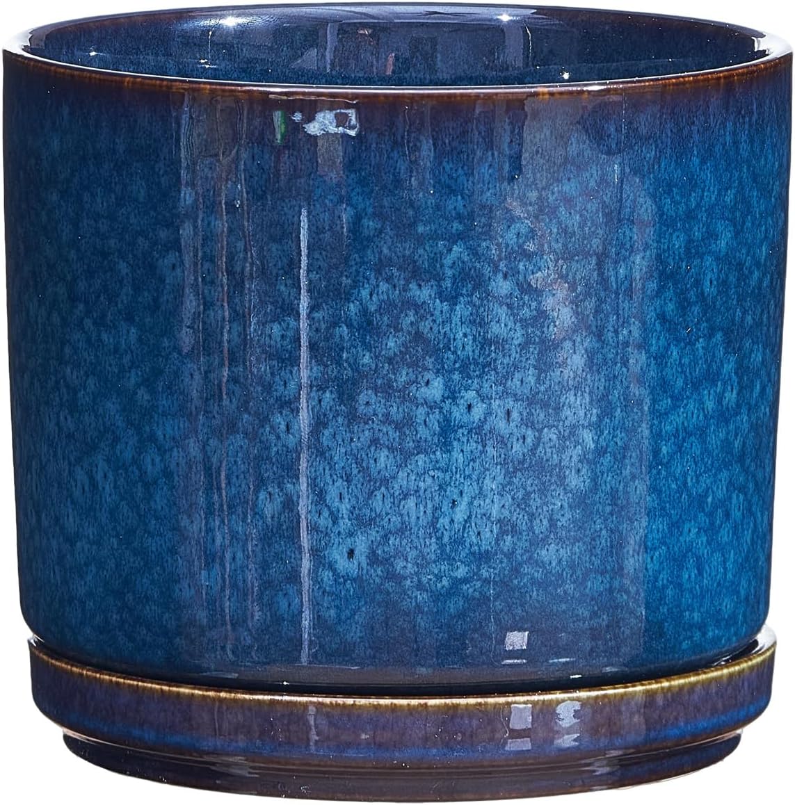Plant Pot