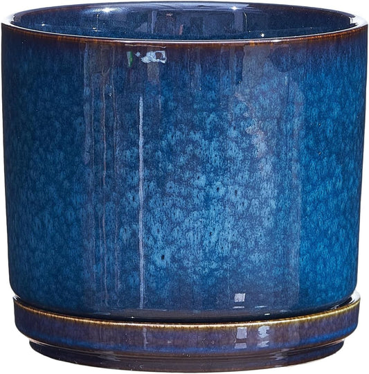 Plant Pot