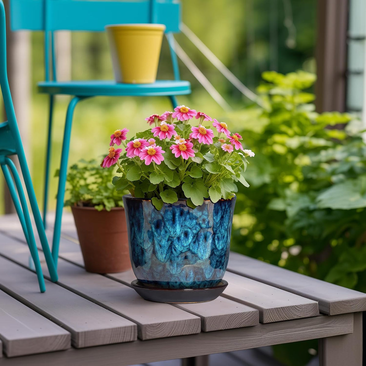 Plant Pot